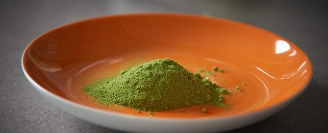 pourdre de moringa